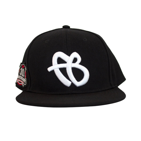 30th Anniversary Snapback – FUBU